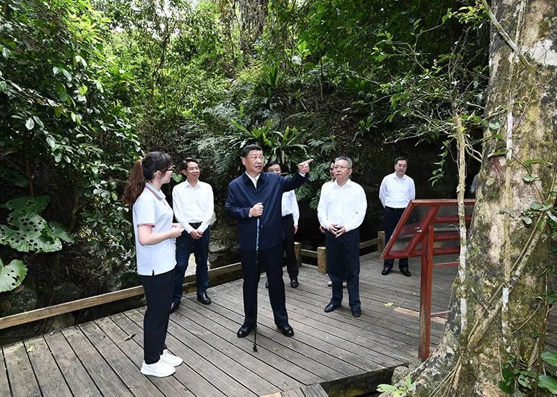 一见，绿水，青山.jpg